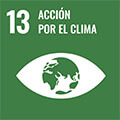 13 | Acción por el clima