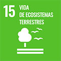 15 | Vida de ecosistemas terrestres